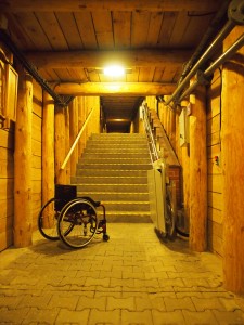 windy dla niepełnosprawnych